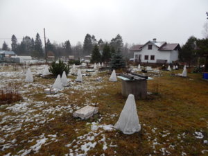 DSCN0329.JPG