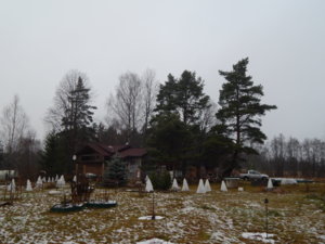 DSCN0330.JPG
