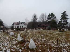 DSCN0331.JPG
