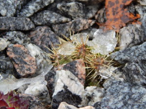 DSCN0335.JPG