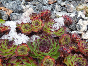 DSCN0336.JPG