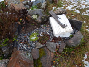 DSCN0337.JPG
