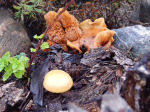 DSCN0340.JPG
