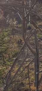 20191216_020251.jpg