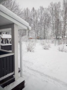 IMG_20200111_102038.jpg