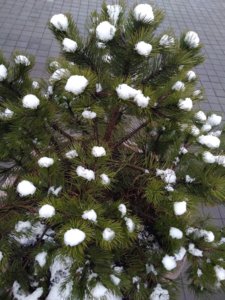 IMG_20200130_140711.jpg