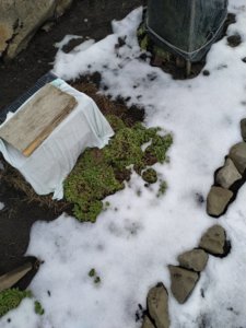 IMG_20200220_094117.jpg