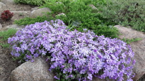 20190524_104822.jpg