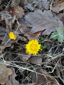 20200310_095559.jpg