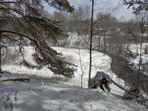 IMG_20200315_124638.jpg