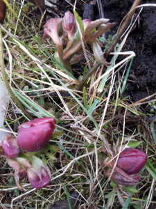 20200313_180631.jpg