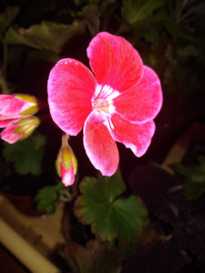 IMG_20200318_220447.jpg