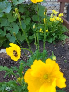 IMG_20190603_103552.jpg