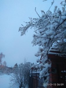 IMG_20200315_065904.jpg
