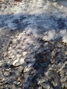 IMG_20200323_181338.jpg