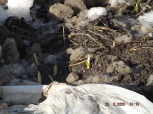 2020.03.26_ DSCF5588.JPG