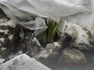 DSCF5619.JPG