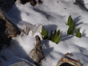 DSCF5658.JPG