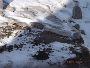 DSCF5665.JPG