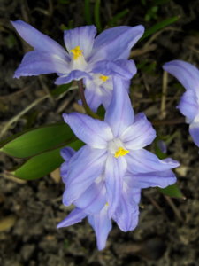 20200328_171529.jpg