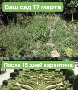 29856F0A-AF2B-41D4-A4F9-0EFE2B0A491D.jpeg