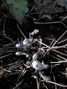 20200403_144804.jpg
