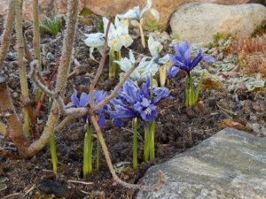DSCN0418.JPG