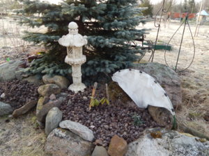 DSCN0448.JPG