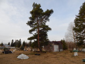 DSCN0374.JPG