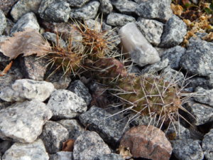 DSCN0361.JPG