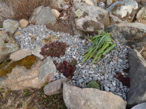 DSCN0366.JPG