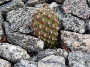 DSCN0367.JPG