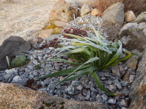 DSCN0422.JPG