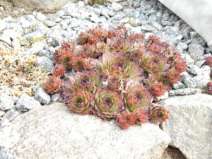DSCN0362.JPG