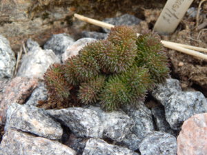DSCN0363.JPG