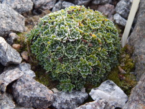 DSCN0427.JPG