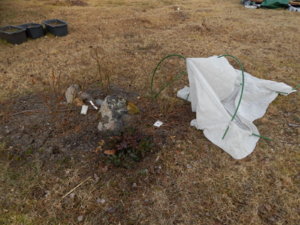 DSCN0373.JPG
