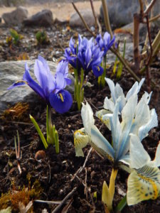 DSCN0346.JPG