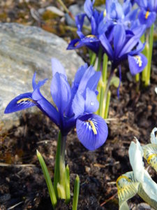 DSCN0400.JPG