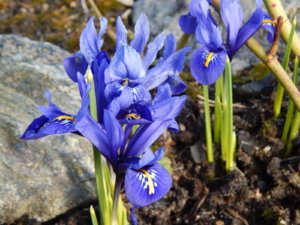 DSCN0402.JPG