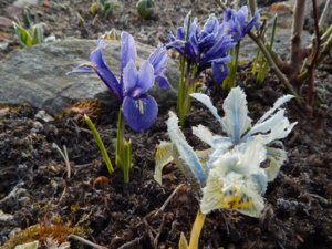 DSCN0414.JPG