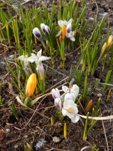 DSCN0351.JPG
