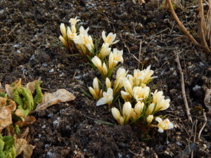DSCN0368.JPG