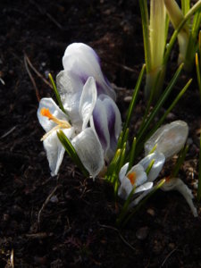 DSCN0396.JPG