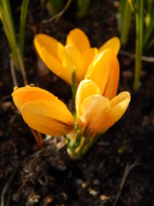 DSCN0397.JPG