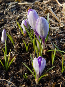 DSCN0407.JPG