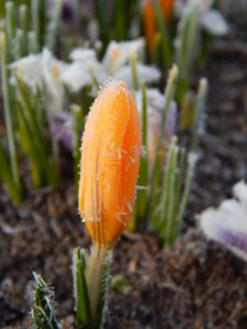 DSCN0410.JPG
