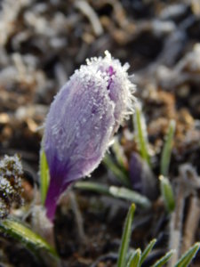 DSCN0419.JPG