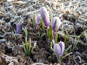 DSCN0420.JPG