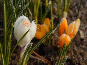 DSCN0445.JPG